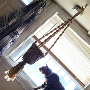 Hanging plant holder